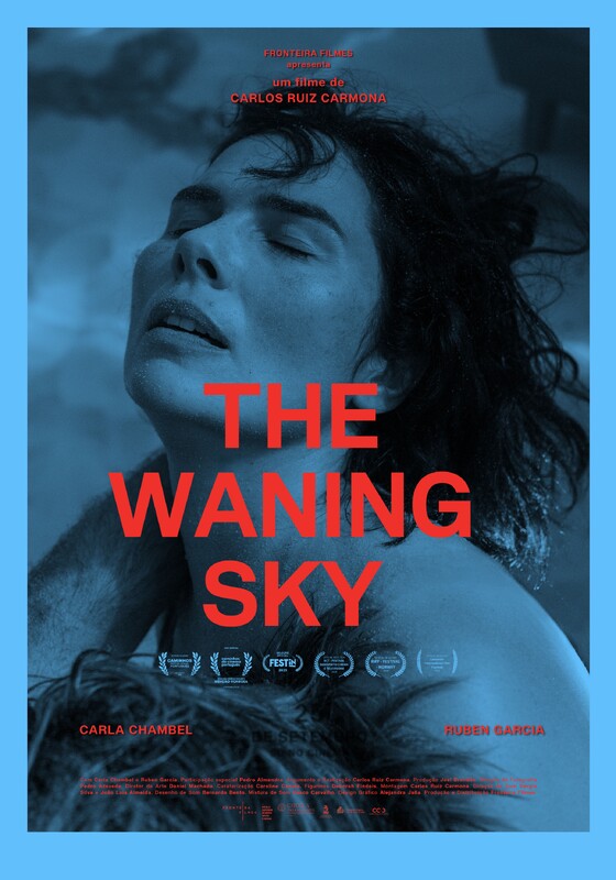 THE WANING SKY – feature film poster